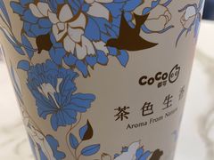 -CoCo都可(长兴岛店)