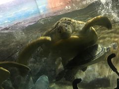 -福州罗源湾海洋世界旅游区