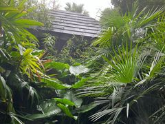 -融汇温泉