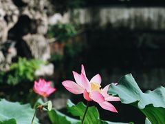 -郭庄景区