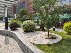 -上海市东方医院(总院)