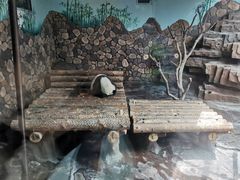 -济南野生动物世界