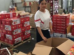 -上海龙吴水胜海发市场