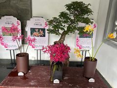 -杭州植物园