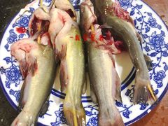 黄辣丁-飘香火锅(玉林西路店)
