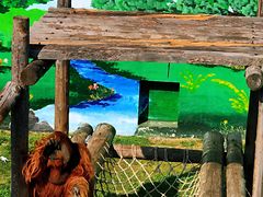 -西霞口神雕山野生动物世界