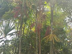 -三亚珠江南田温泉度假区