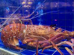 -粤珍轩.创始店.始于2001(含光门店)