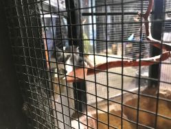 -酷嗒动物文化乐园(cutezoo西溪乐天城店)