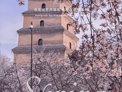 -大雁塔文化休闲景区-北广场