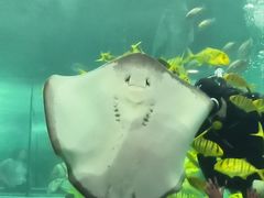 -苏州海洋馆