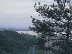 -千岛湖天屿景区