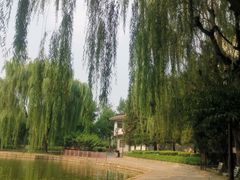 -团结湖公园