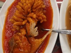 -玉华台饭庄(裕中西里小区店)