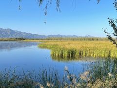 -野鸭湖国家湿地公园