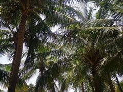 -白沙门生态公园