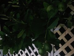 -墨居上隐·院子里火锅(峨眉店)