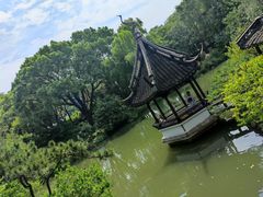 -上海醉白池公园
