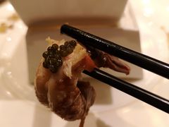 -诺莱仕游艇会