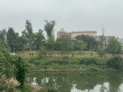 -白鹭湾湿地公园