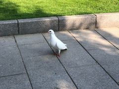 -宋庆龄陵园