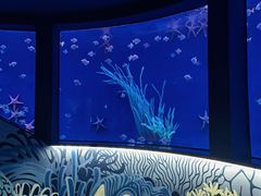 -沈阳海洋探索中心