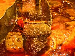 -周小明火锅(黑金冠社区店)