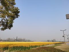 -中国天府农业博览园