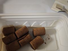 -大董(环贸iapm店)