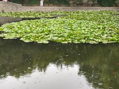 -良友·海鲜青岛菜(五四广场店)