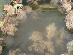 -北港方记海鲜楼·海景餐厅