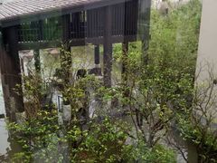 -上海崇明金茂凯悦酒店