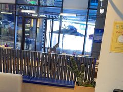 -玛尚诺Pizza&Bar(长泰广场店)