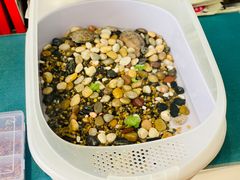 -瑞派·关忠动物医院·异宠专科·犬猫肿瘤·皮肤专科(望京店)