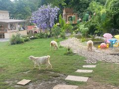 -HERRE·FARM 赫尔露营农场·团建聚会包场