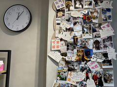 -伟伟宠物医院·CT影像中心·瑞派犬猫综合性门诊(汉口总院)