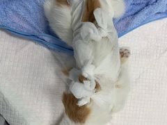 -美美宠物诊疗中心·异宠·骨科(滨江东信分院)