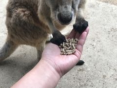 -可伦宾野生动物保护区