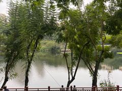 -重庆彩云湖湿地公园