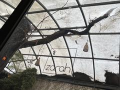 -zarah(鼓楼店)