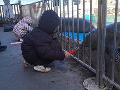 -泉城欧乐堡海洋极地世界