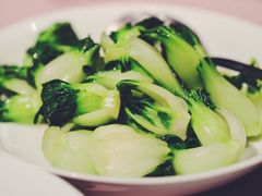 奶白菜-荣轩(新荣记环球金融中心店)