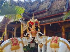 -西双版纳傣族园