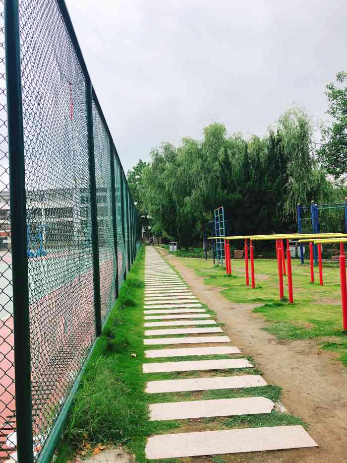 扬州大学文汇路校区体育馆-"扬大运动会拉开帷幕 热闹程度不亚于正规