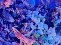-舌尖上·霞浦滩涂海鲜·新闽菜(总店)