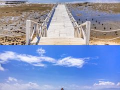 -北海金海湾红树林生态旅游区