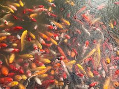 -泰安地下龙宫景区