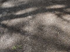 -棋盘山风景区