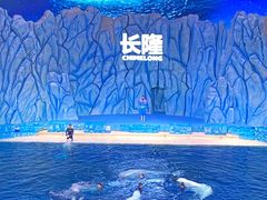 -珠海长隆海洋王国