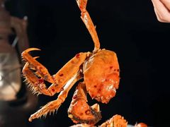 -文和友老长沙龙虾馆(化龙池店)